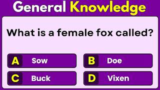 How Sharp Is Your Mind? | General Knowledge Quiz | Trivia Quiz | GK Quiz | GK Facts | Education Wealth
