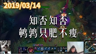 东北大鹌鹑0314P1 莫甘娜:知否知否 鹌鹑只肥不瘦