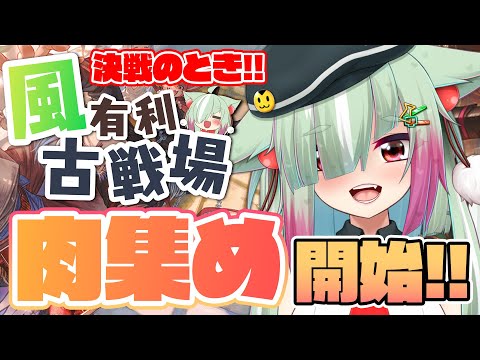 【グラブル/完全初見】風古戦場、肉集め！！前日考察の編成でも問題ないよね...？？/予選１日目【玉響憩/Vtuber】