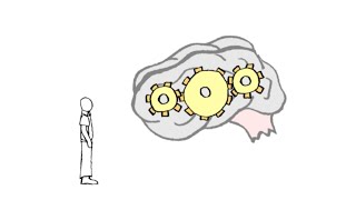 How Analogies Shape Our Thoughts