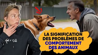 La Signification Des Problèmes De Comportement Des Animaux