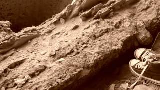 Qncy - Seashore Ft. Babyface Ensemble Official Music Video