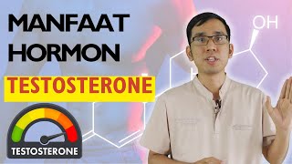 Manfaat Hormon Testosterone Pada Pria