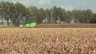 Punto Mais - Per un'agricoltura sostenibile