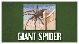 Watching the Spider's Web | The Story of Giant Spider