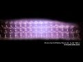 Cymatic pattern train on Aloe Vera membrane