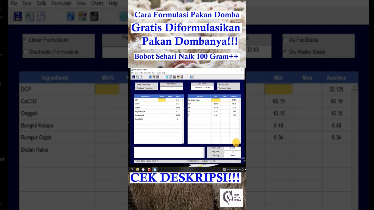 Cara Formulasi Pakan Domba Pedaging 