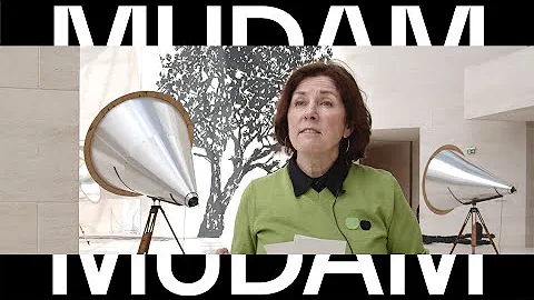 Suzanne Cotter (Director of Mudam) presents Willia...