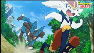 Lucario And Cinderace Cute And Funny Moments