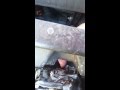 How to get your stuck / broken new Beetle hood open from under the car 2001 Beetle