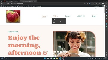 wordpress教学，外贸网站如何添加产品，网站如何修改菜单栏，为什么添加了产品没有显示