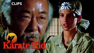 The Karate Kid Mr. Miyagis Training Pays Off Cineclips