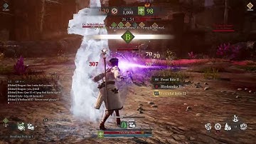 Bless Unleashed Red Basin Level 20-27 PvP