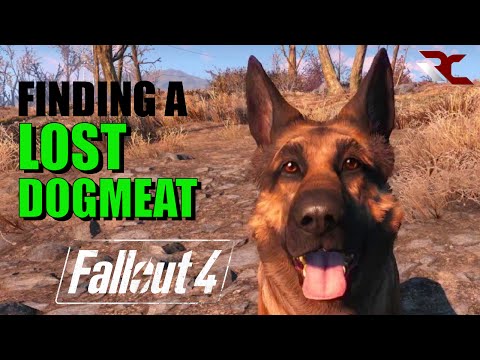 Fallout 4 | How to Find a Lost Dogmeat/Companion (Fallout 4 Guides)
