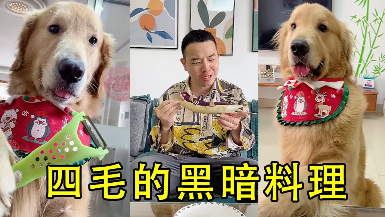 Темная кухня Шизи, используя баклажаны в качестве акулы для папы Мао, потрясла весь год [неправильн