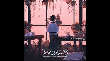 ♥قرآن كريم بصوت للشيخ مشارى العفاسى❤حالة واتس اب دينية