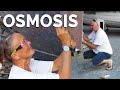 Total Sailboat Refit (Osmosis treatment, teak deck removal, planning) Part 1 - Sailing Ep198