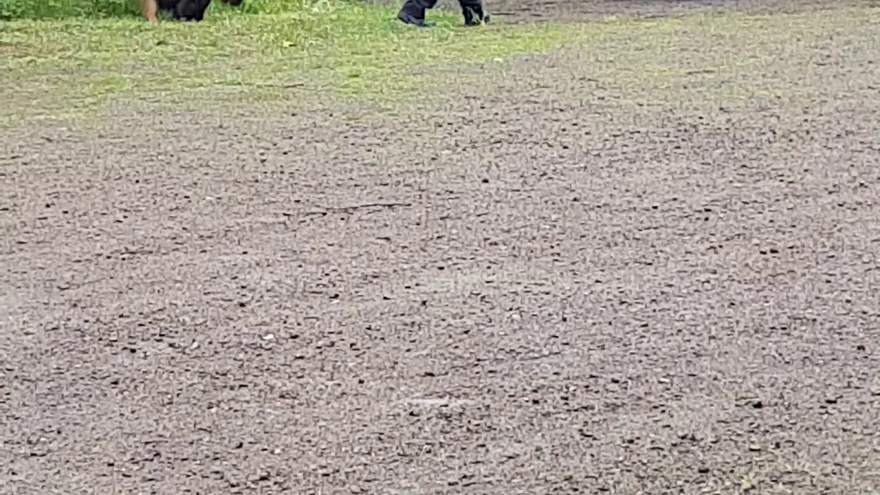 Wuldor's Arttu Peekele LTE osa3