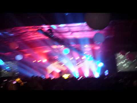 Winter fantasy-alive