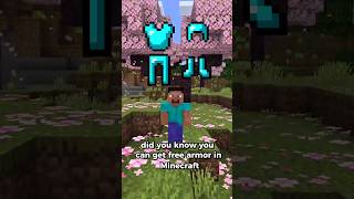How To Get FREE ARMOR in Minecraft!