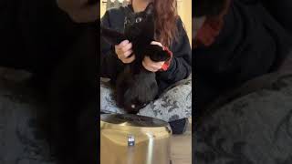 Sorry For Her Nip Slips