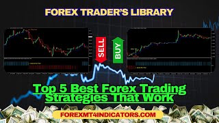 Top 5 Best Forex Trading Strategies That Work