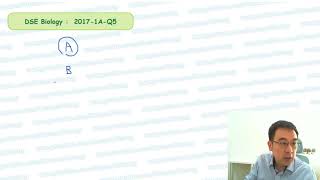 DSE Biology - 2017/IA/Q5 (題型︰1f3) (catabolism & anabolism 分解代謝和合成代謝)