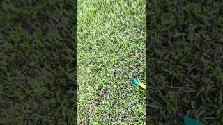 Rocket plane test glides