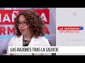 Experta revela las causas y tratamientos para la caída del cabello | 24 Horas TVN Chile