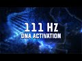 Dna activation cellular repair  health  wellness  binaural beats 111 hz  regan hillyer