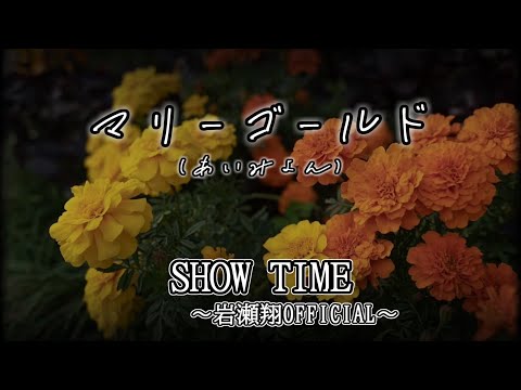 マリーゴールド（あいみょん）【歌ってみた】岩瀬翔