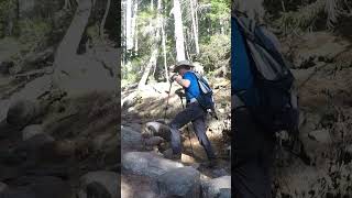 NH Arethusa Falls hike (vertical) #newhampshire #whitemountains #hiking #waterfall #waterfallhike