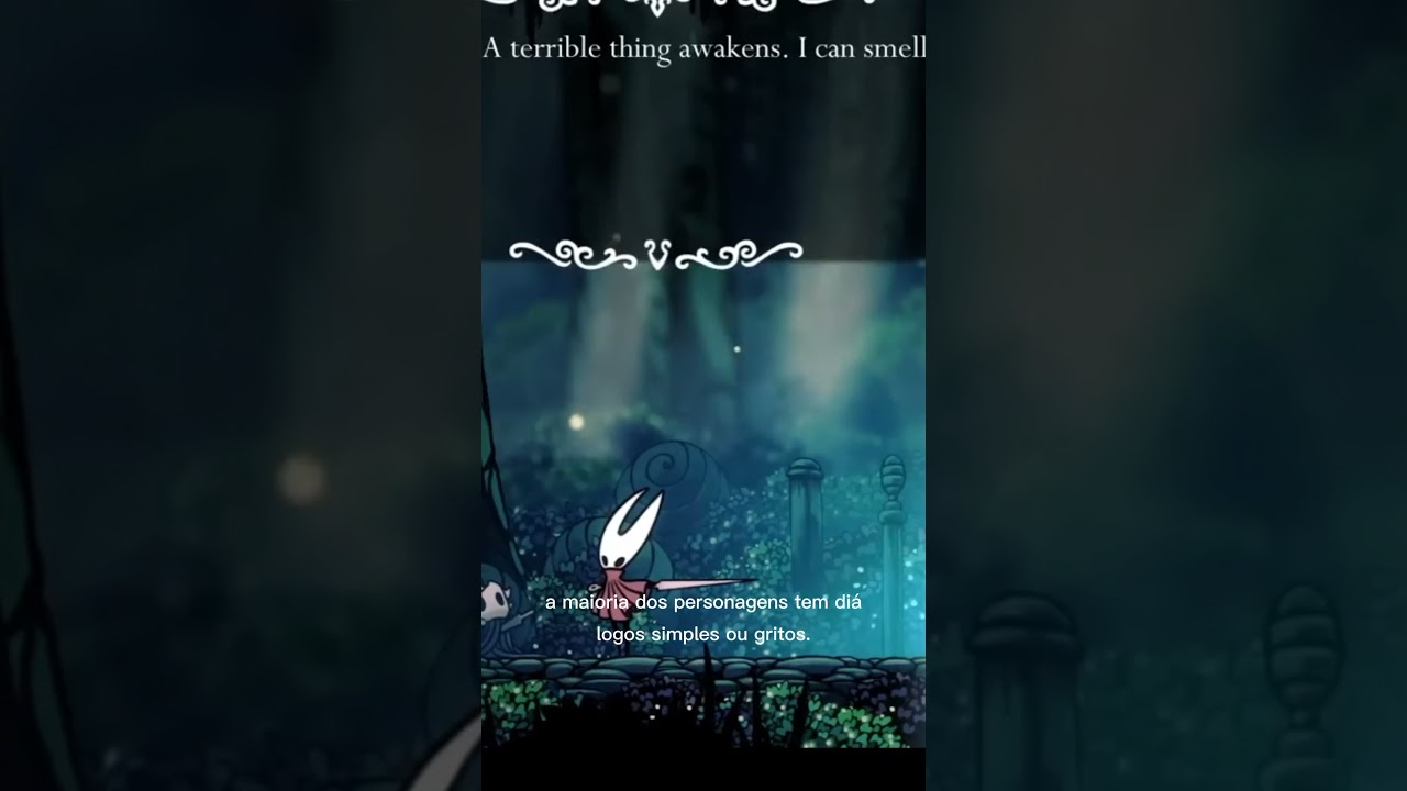 curiosidade de hollow kinight