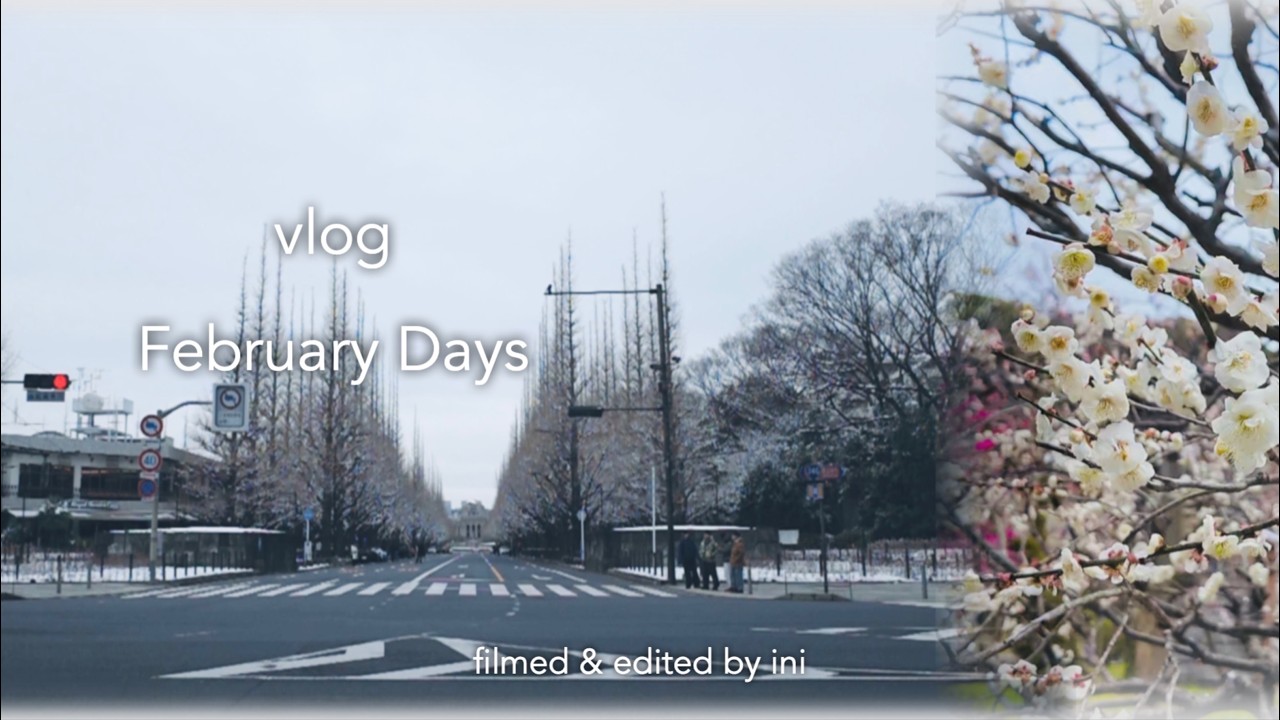 February days | 雪が降る、チョコと梅 | 冬の記録