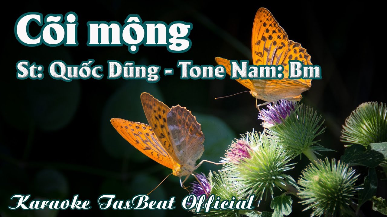 Karaoke Cõi Mộng Tone Nam | TAS BEAT