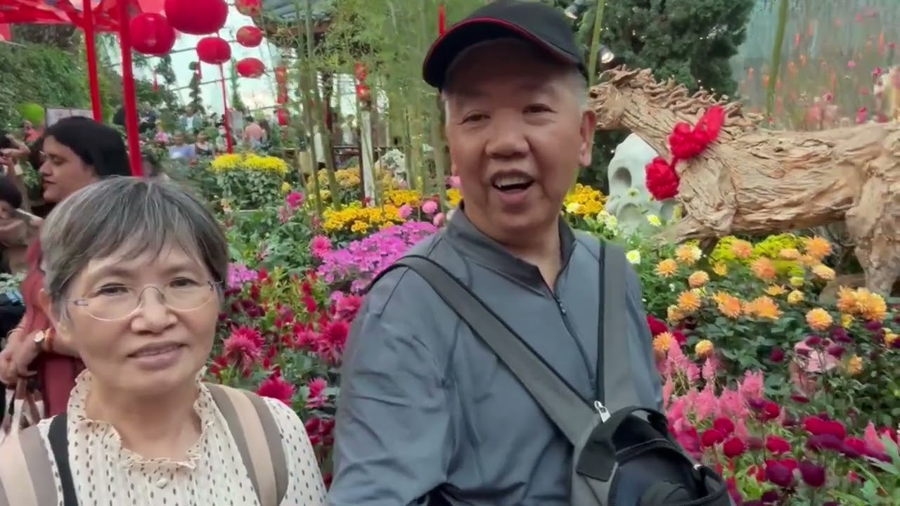 新加坡花冷芎頂賞遊