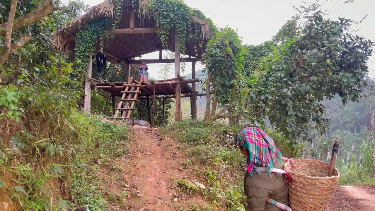 Мать-одиночка с ужасом обнаружила ребенка в заброшенном доме в глуши леса.