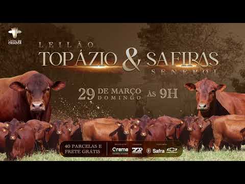 LOTE 68 - GRAMA 7165