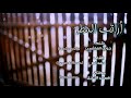 أراقب المطر- أحمد نور |HD