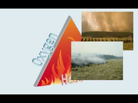 Fire & The Fire Triangle