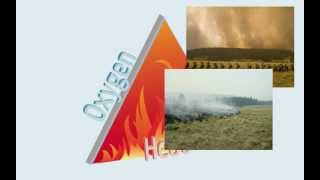 Fire & The Fire Triangle