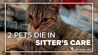 'It's a nightmare': O'Fallon family finds 2 pets dead after leaving them with trusted sitter