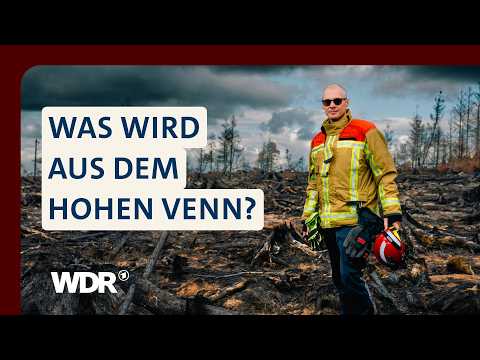 Großbrand Hohes Venn: Gibt es noch Hoffnung für das Naturschutzgebiet? | WDR