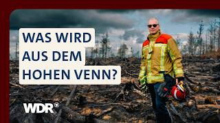 Zwischen Eifel und Belgien: Wie geht es mit dem Hohen Venn weiter? | WDR