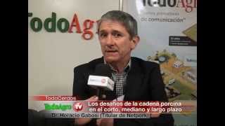 Entrevista a Horacio Gabosi