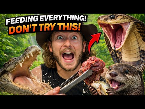 FEEDING ALL MY ZOO ANIMALS!
