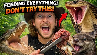 FEEDING ALL MY ZOO ANIMALS!