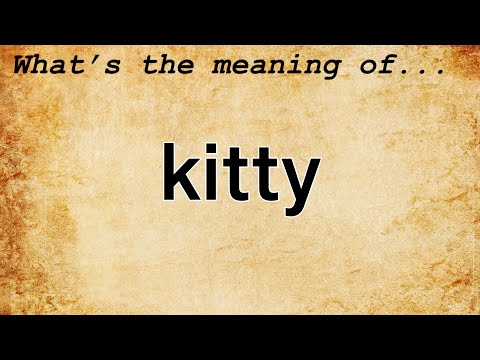 Kitty Meaning | Definition of Kitty