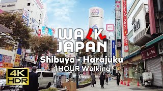 Shibuya- Harajuku 1HOUR Walking | Walk Japan by JIBTV - Japan International Broadcasting 134 views 1 month ago 59 minutes