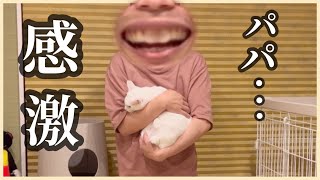 人間嫌いの猫をパパも初めて抱っこできて感動…